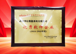 喜讯丨3044永利集团数据获评2024~2025年度武汉市软件行业&ldquo;优秀企业&rdquo;、&ldquo;优秀工作者&rdquo;荣誉称号！